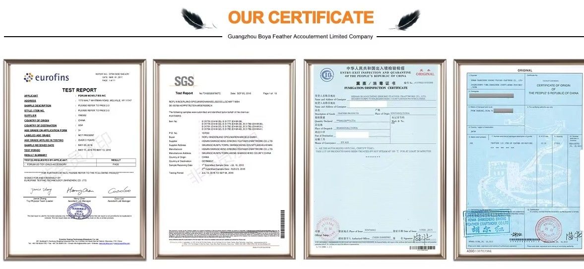 Guangdong Hongfa Import & Export Co., Ltd.