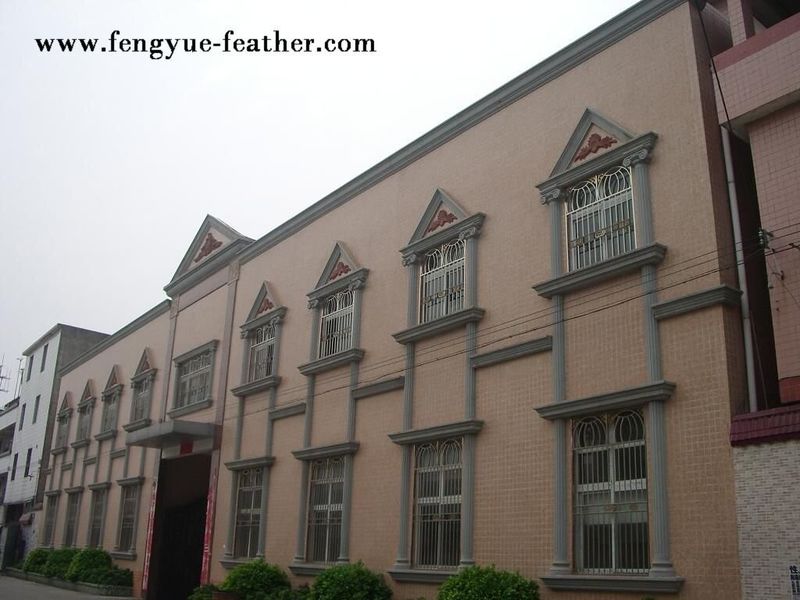 Guangdong Hongfa Import & Export Co., Ltd. ligne de production du fabricant