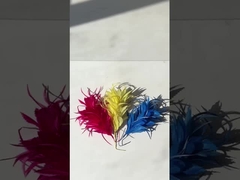 OEM Fleurs en plumes d' oie avec biot, plumes teintes en motifs fournitures de millinerie