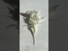 Des montures à plumes