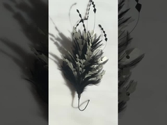 Des montures à plumes