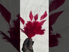 Des montures à plumes